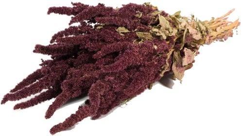Amaranthus natural Rood Kattenstaart, Huis en Inrichting, Woonaccessoires | Kunstplanten en Kunstbloemen, Nieuw