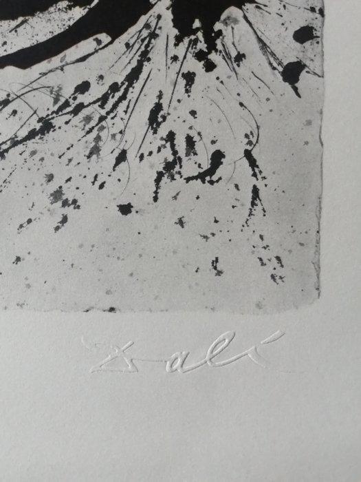 Salvador Dali (1904-1989) - Paris (Butterfly Suite), Antiek en Kunst, Antiek | Overige Antiek