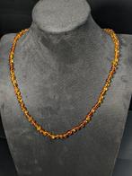 63,9 ct - Beau collier en ambre baltique cognac naturel,, Verzamelen
