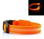 LED Halsband ORANJE, Verzenden, Nieuw