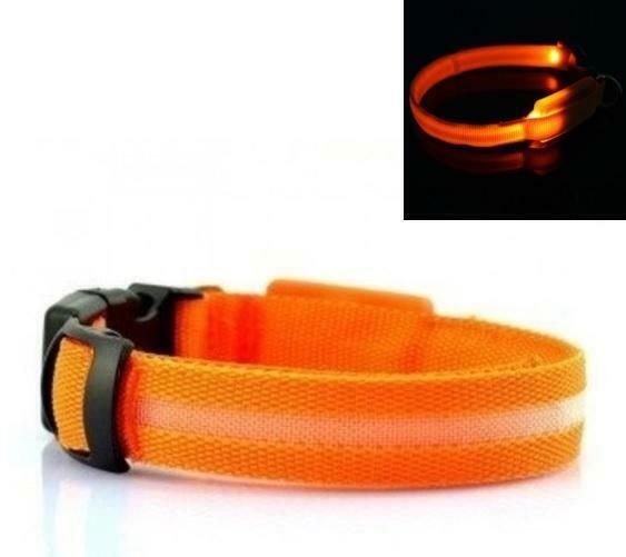 LED Halsband ORANJE, Dieren en Toebehoren, Honden-accessoires, Verzenden