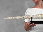 PAS DE PRIX DE RESERVE - Grand Rostre dEspadon Sculpté -