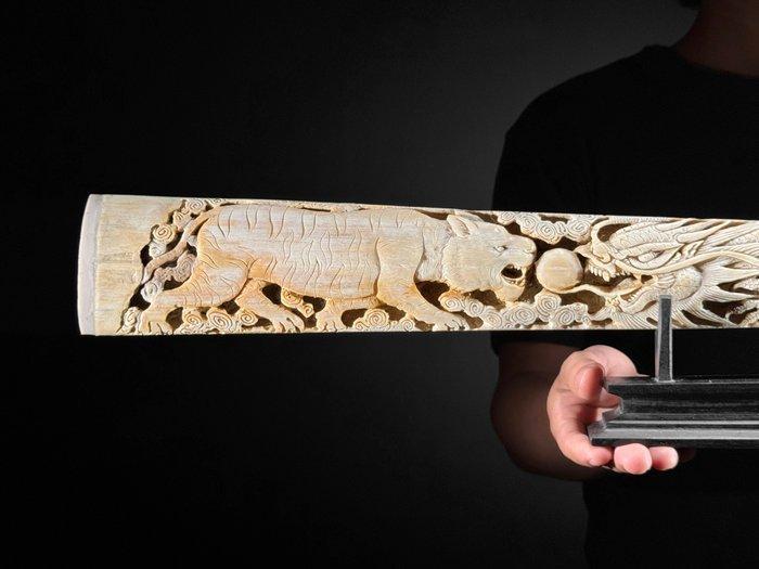 Geen reserveprijs - Grote gepatineerde zwaardviskaak op, Antiquités & Art, Art | Art non-occidental