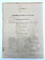 Lesmateriaal - Nicolas-Henri Jacob & Jean Baptiste Marc