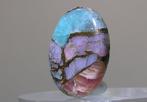 Turquoise Cabochon - Hauteur : 21 mm - Largeur : 15 mm- 2.27