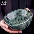 Miljarden jaren evolutie van de Aarde omgezet in ontwerp -