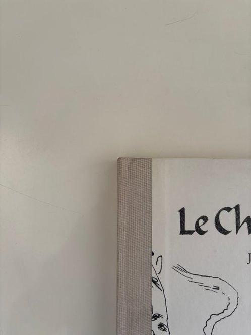 Le Chat du Rabbin T5 - Jérusalem dAfrique - C - 1 Album -, Boeken, Stripverhalen