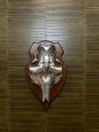 Eland Schedel Zilver 45*28*11