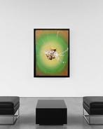 Santicri - Big Bang #2