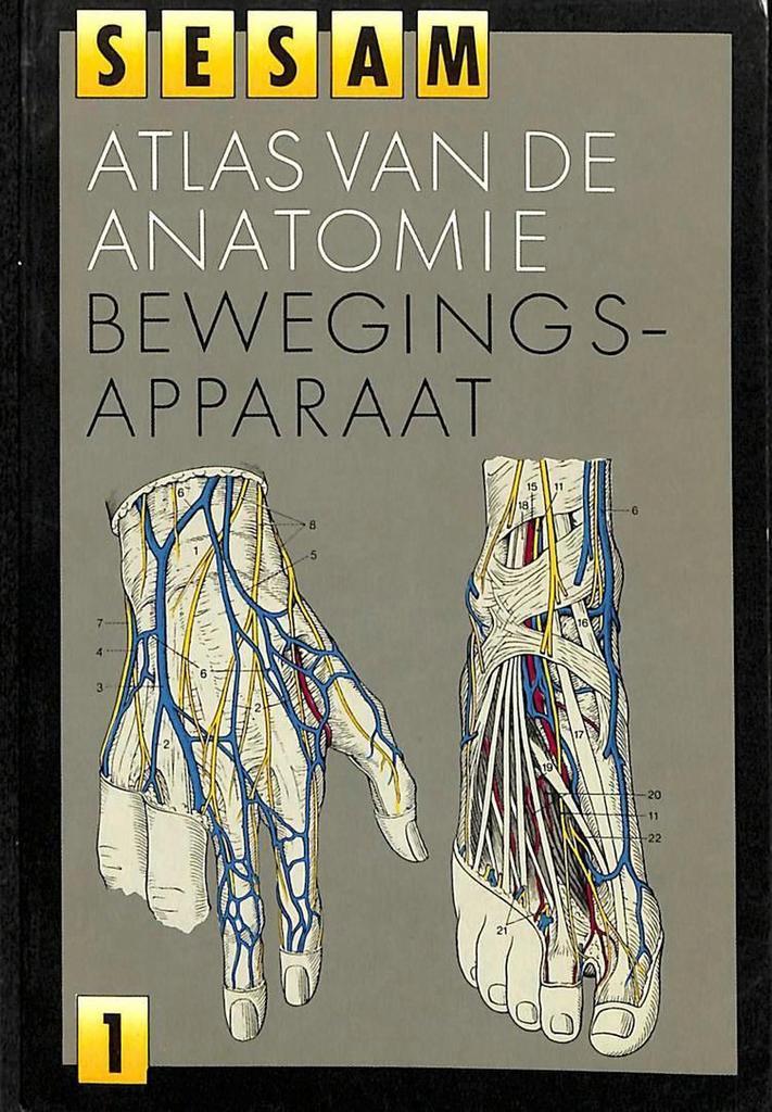 Sesam atlas van de anatomie 1: bewegingsapparaat / Sesam, Boeken, Wetenschap, Gelezen, Verzenden