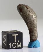 Mooie kleine georiënteerde Taza ijzermeteoriet,, Verzamelen, Mineralen en Fossielen