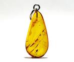 Pendentif Rare en ambre baltique avec un insecte, Nieuw