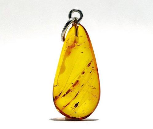 Pendentif Rare en ambre baltique avec un insecte, Verzamelen, Dierenverzamelingen