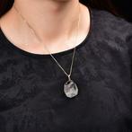 Geen veilingreserve - ALGT Gecertificeerd - Grote en Zeer