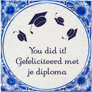 Tegels delfts blauw Geslaagd You did it 15cm beschikbaar voor biedingen