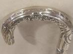 Wandelstok - Zilver