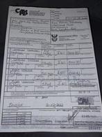 Crâne de chacma, alias babouin du Cap - avec preuve, Nieuw