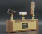 Zeldzaam Diorama met Harige Mammoet fragmenten van Bot,, Collections