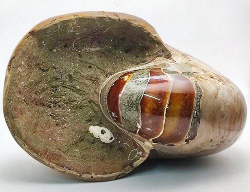 Mooie zeer zeldzame grote 2.943 kg buitengewone, Verzamelen, Mineralen en Fossielen