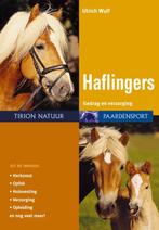 Haflingers / Paardensport 9789052105062 U. Wulf, Verzenden, Gelezen, U. Wulf