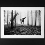 Frank Machalowski - tierwald#11