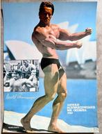 Arnold - Arnold Schwarzenegger poster 1980 body building