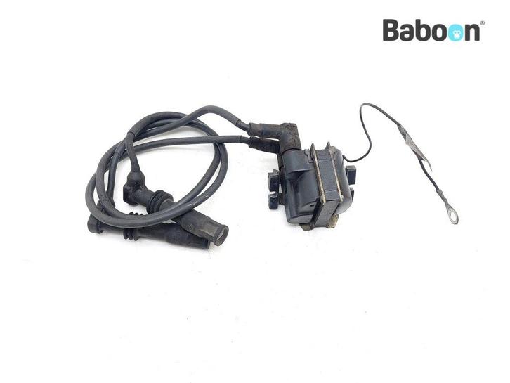 Bobine BMW R 1100 GS (R1100GS 94), Motoren, Onderdelen | BMW, Gebruikt, Verzenden