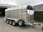 Veiling: Veetrailer Nugent L4318T 4.32x1.80x1.93m 3500kg, Ophalen, Nieuw