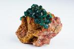 MALACHITE avec DIOPTASE - Émeraude de HAUTE QUALITÉ -