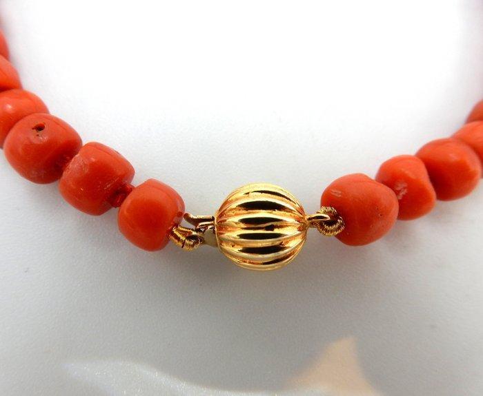 Sans prix de réserve - Bracelet - 14 carats Or jaune Corail, Bijoux, Sacs & Beauté, Bijoux anciens