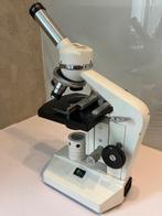 Monocular compound microscope - MIC 815 - 1980-1990 -