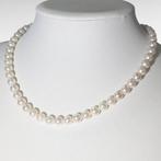 Zonder minimumprijs - Halsketting Zilver Parel, Nieuw