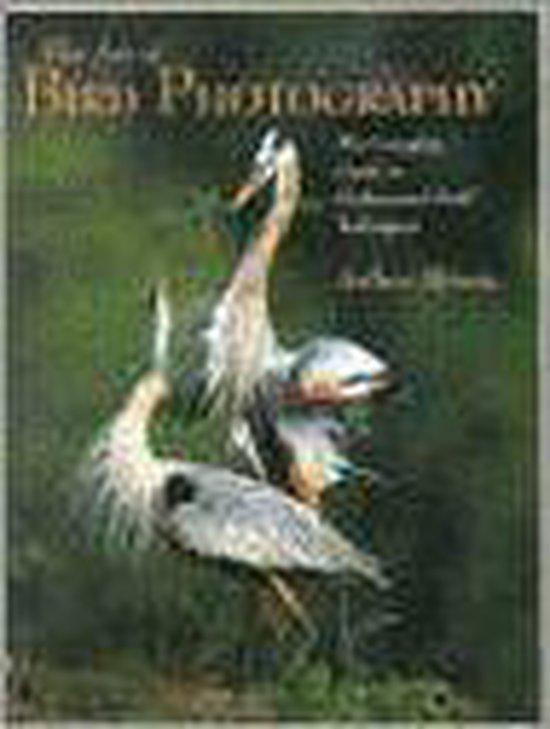 The Art of Bird Photography 9780817435424 Arthur Morris, Boeken, Taal | Engels, Gelezen, Verzenden