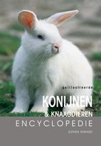 Konijnen en knaagdieren encyclopedie 9789036610780, E. Verhoef-Verhallen, Delo), Zo goed als nieuw, Verzenden