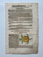 Conrad Gesner - Fischbuch - 1598
