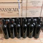 2023 Santa Barbara, Stefano Antonucci, Rosso Piceno il, Nieuw