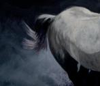 JOSE LUIS CAMPOS - Equus Ferus Caballus