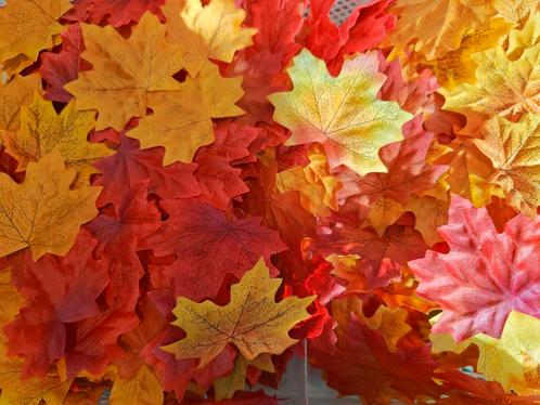 Blad zijde herfstblad maple leaf esdoornblad /20st blaad mix, Huis en Inrichting, Woonaccessoires | Kunstplanten en Kunstbloemen