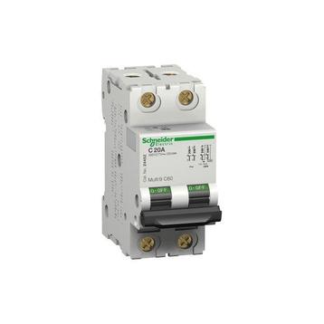 Bieden: Schneider Electric C60 2-Pole 15A Miniature Circuit, Ophalen of Verzenden