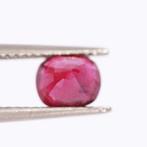 1 pcs Rood Robijn - 1.32 ct - Gemological Institute of, Handtassen en Accessoires, Edelstenen, Nieuw
