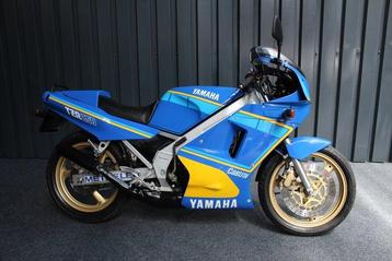 Yamaha - TZR - 250 cc - 1987 beschikbaar voor biedingen