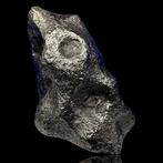 XL IJZER METEORIET uit Campo del Cielo (Argentinië, 4500