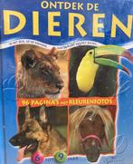 Ontdek de dieren 9789058289070 Yves Verbeek, Verzenden, Yves Verbeek