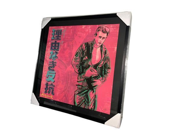 Veiling - Andy Warhol | James Dean Rebel Without a Cause |, Antiquités & Art, Art | Lithographies & Sérigraphies