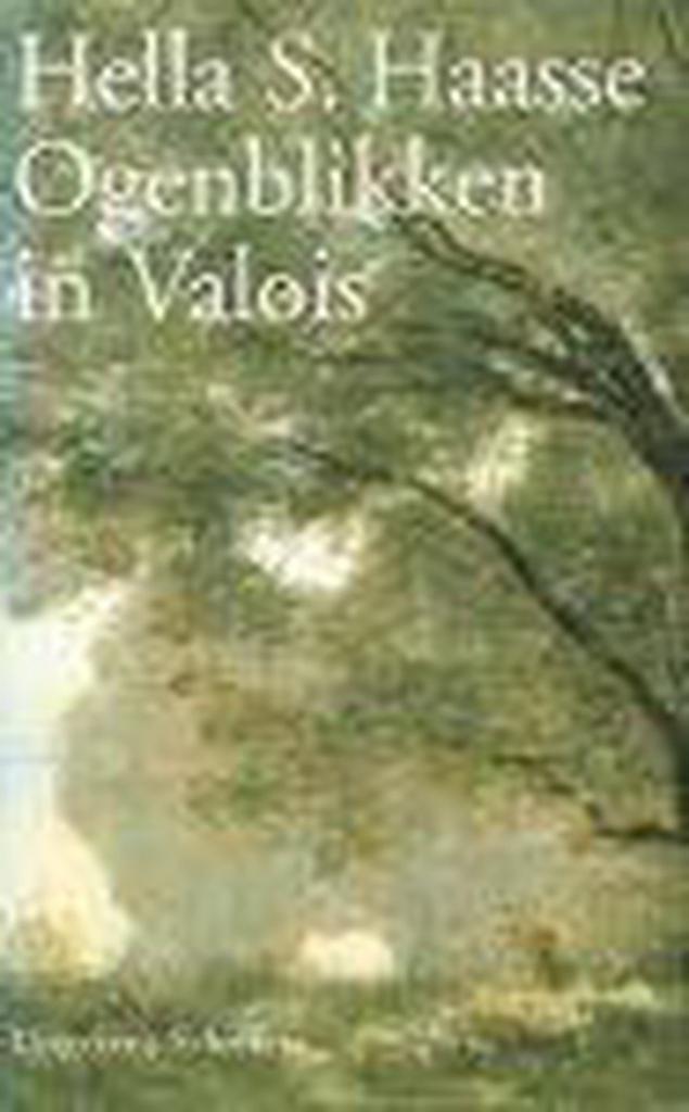 Ogenblikken in Valois 9789055460328 Hella S. Haasse, Boeken, Romans, Gelezen, Verzenden