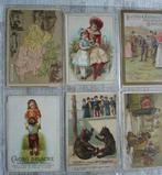 Themacollectie - Oudere Lithochromos, seizoensgebonden