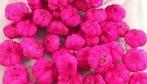 Beachfruit paras peepal mini pompoentjes wild apple cyclaam, Nieuw