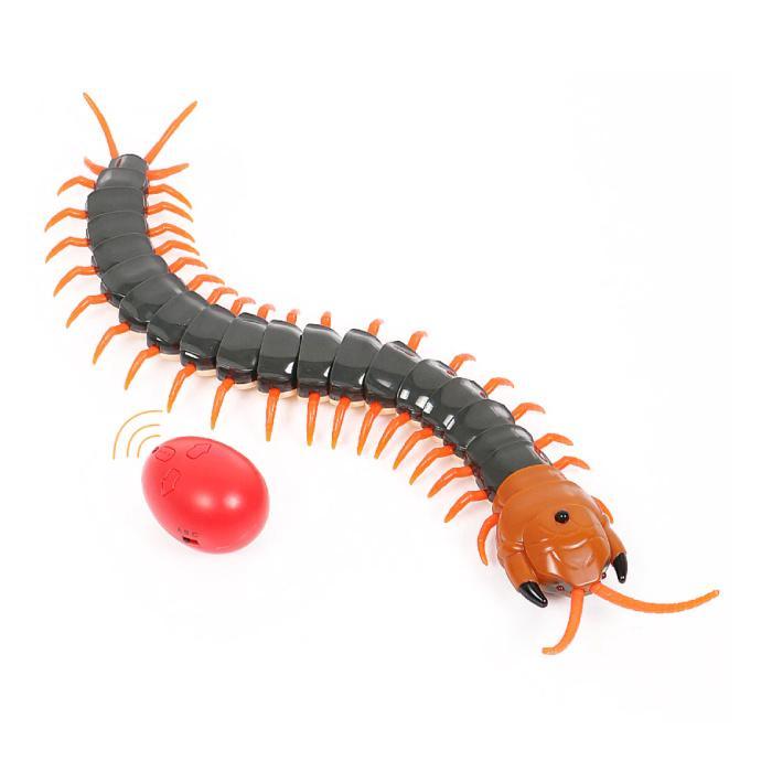 RC Duizendpoot met Afstandsbediening - Centipede Speelgoed, Hobby en Vrije tijd, Modelbouw | Radiografisch | Overige, Nieuw, Verzenden