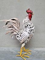 Sculpture, A large rooster - 70 cm - Fer, Métal