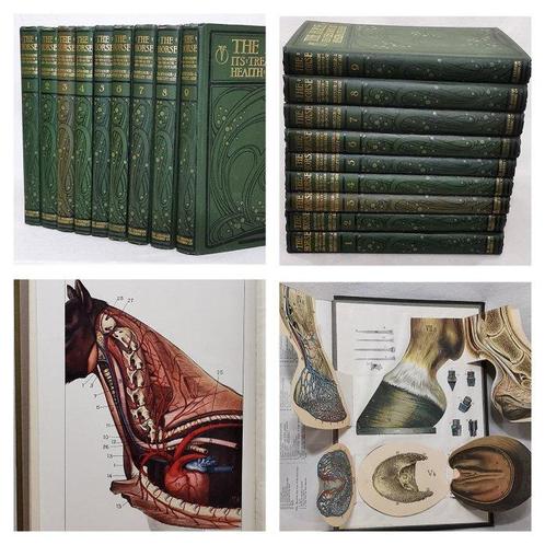 Prof. J. Wortley Axe - The Horse Its Treatment In Health And, Antiek en Kunst, Antiek | Boeken en Manuscripten